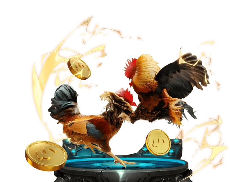 Hệ thống cá cược đá gà minh bạch